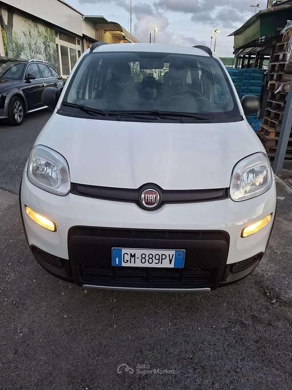 Usata Fiat Panda 4x4 Wild 86 CV (63 kW) 2023 Bianco perla Utilitaria