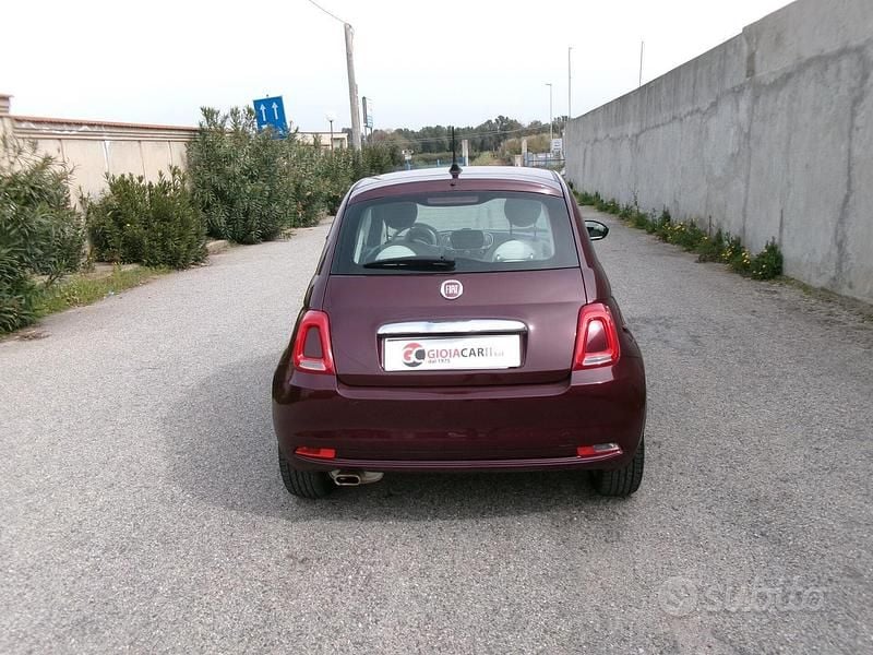 Usata Fiat 500 Lounge 69 CV (50 kW) 2019 Viola Berlina