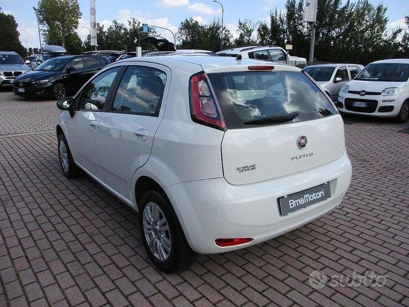 Usata Fiat Punto 80 CV (58 kW) 2013 Bianco Utilitaria