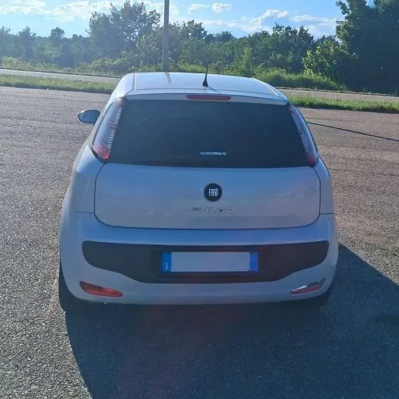 Usata Fiat Punto Evo S 69 CV (50 kW) 2011 Argento Utilitaria