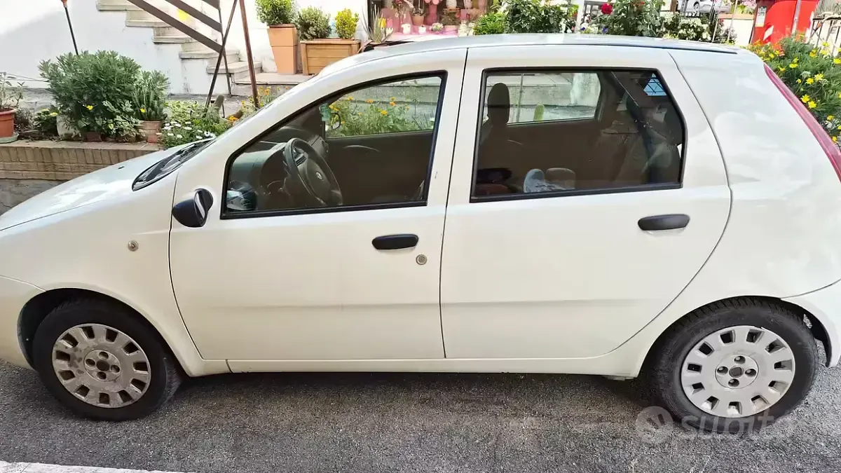Usata Fiat Punto 80 CV (58 kW) 2009 Bianco Utilitaria