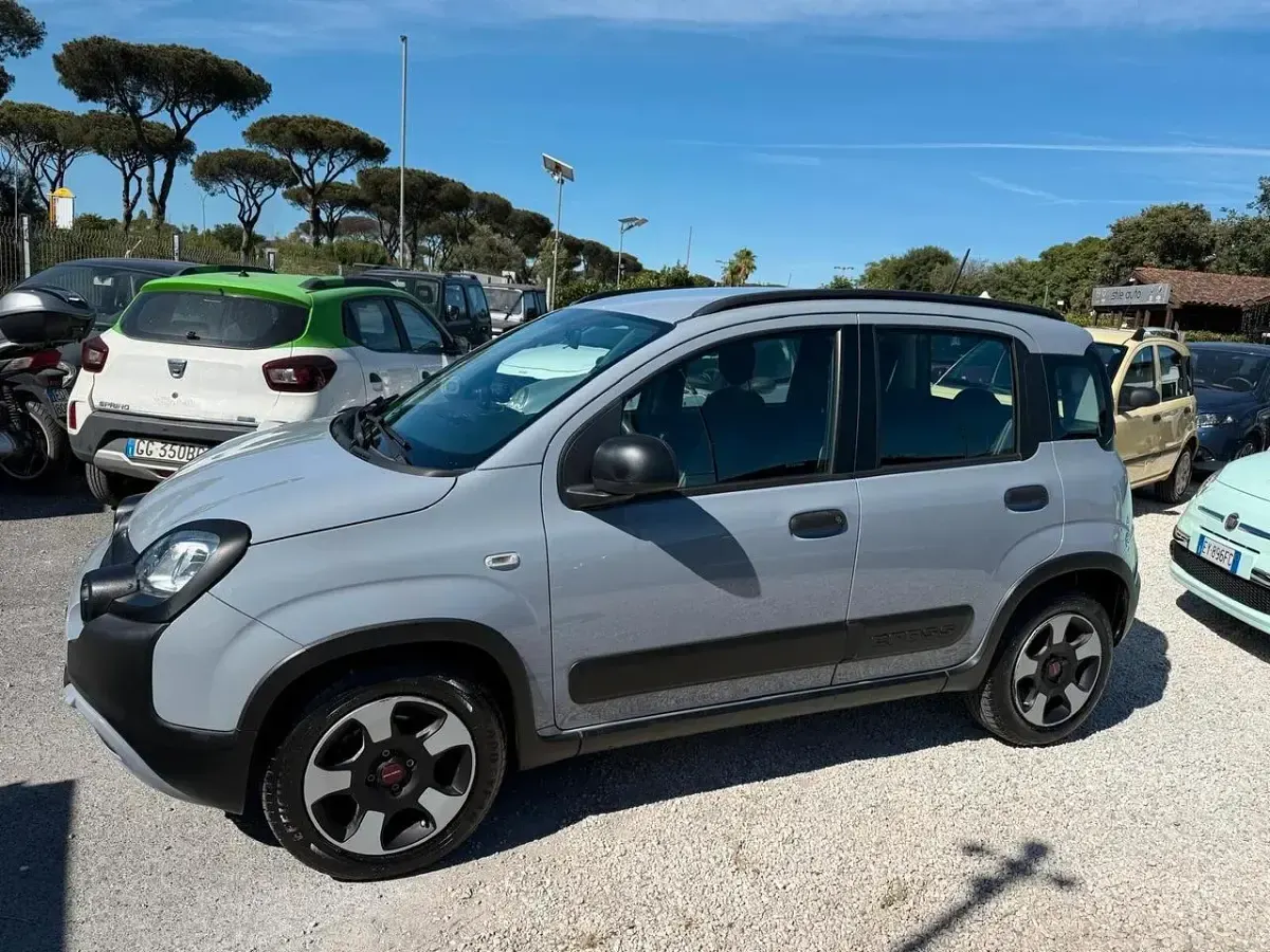 Usata Fiat Panda Cross Cross 69 CV (50 kW) 2020 Grigio Utilitaria