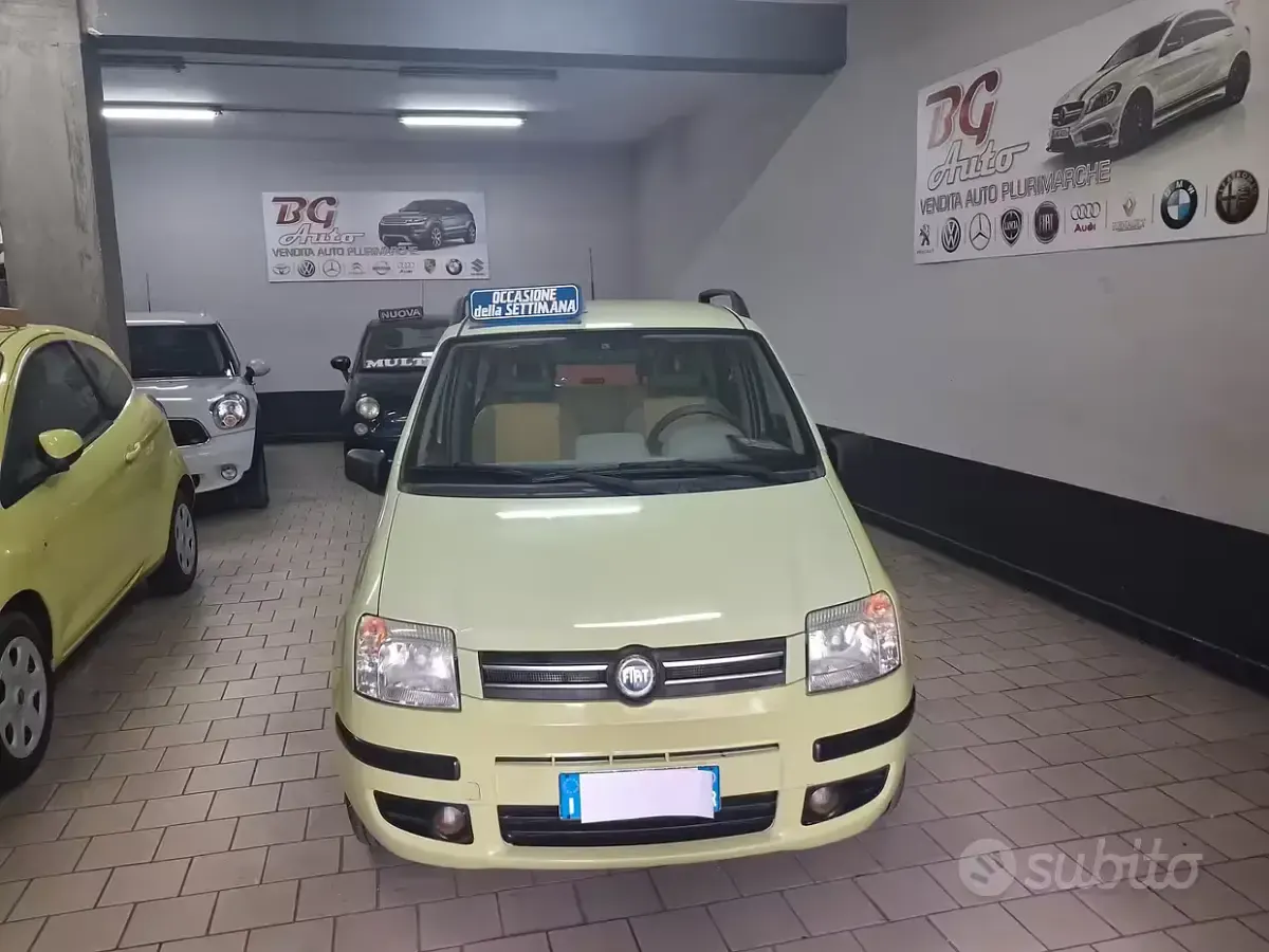 Usata Fiat Panda Dynamic 54 CV (39 kW) 2006 Verde Utilitaria