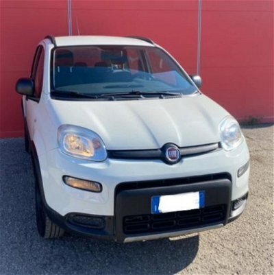Usato 2019 Fiat Panda 4x4 0.9 Benzin 85 CV (12.500 €)
