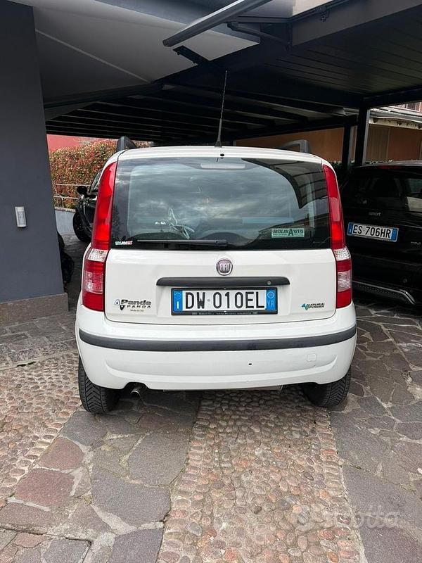 Usata Fiat Panda Dynamic 60 CV (44 kW) 2009 Bianco Utilitaria