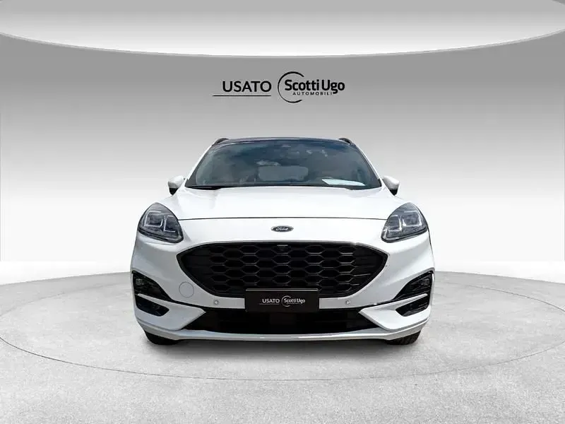 Usata Ford Kuga ST-Line X 225 CV (165 kW) 2023 Bianco SUV