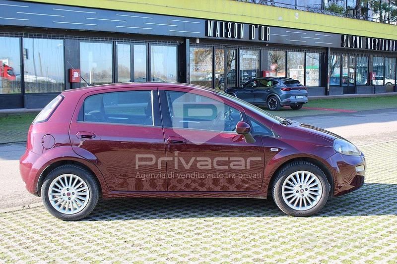 Usata Fiat Punto Lounge 69 CV (50 kW) 2014 Rosso Utilitaria