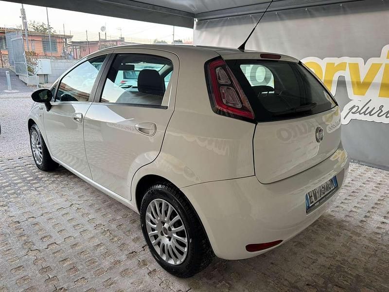 Usata Fiat Punto Lounge 69 CV (50 kW) 2014 Bianco Berlina