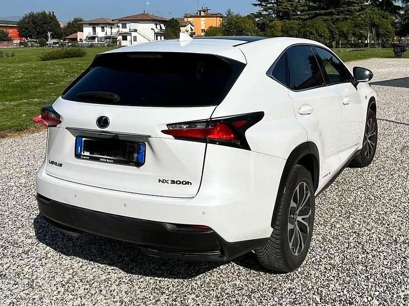 Usata Lexus NX300h Sport Line 155 CV (114 kW) 2015 Bianco SUV