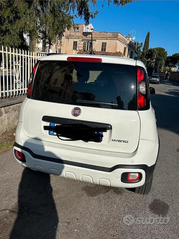 Usata Fiat Panda Cross Cross 2024 Bianco Utilitaria