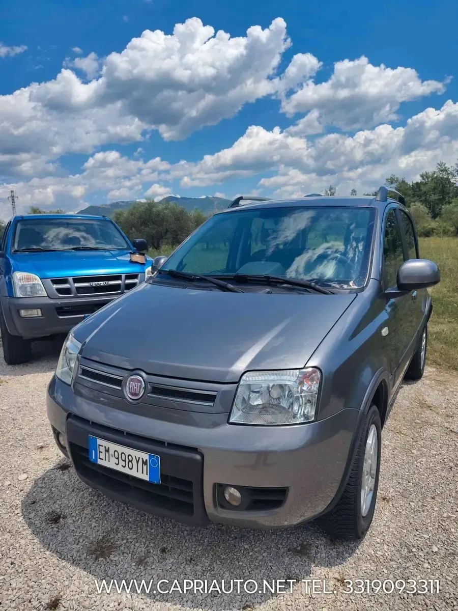 Usata Fiat Panda 4x4 Climbing 75 CV (55 kW) 2012 Utilitaria