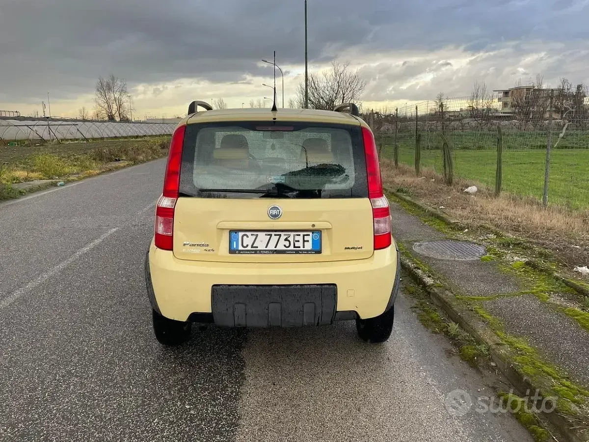 Usata Fiat Panda 4x4 69 CV (50 kW) 2006 Giallo Utilitaria