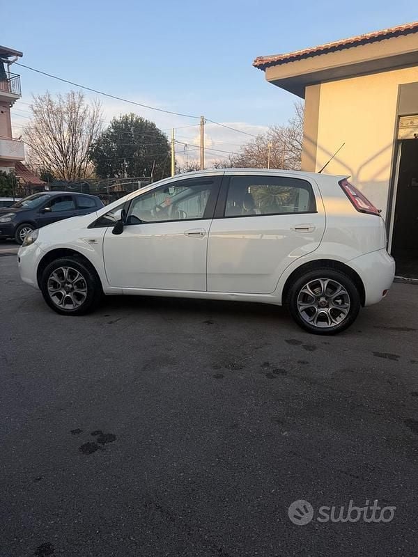 Usata Fiat Punto Easy 77 CV (56 kW) 2012 Bianco Utilitaria
