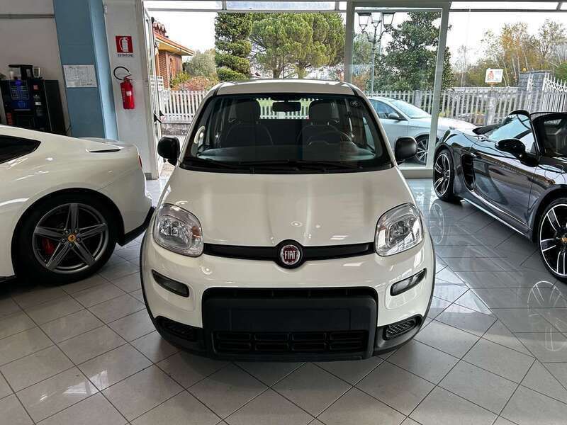 Usata Fiat Panda S 69 CV (50 kW) 2024 Bianco Utilitaria