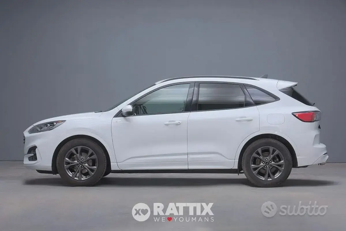 Usata Ford Kuga ST-Line X 120 CV (88 kW) 2023 Bianco SUV