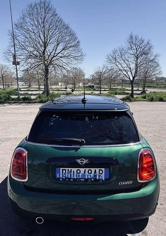 Usata Mini Cooper 136 CV (100 kW) 2020 Verde Utilitaria