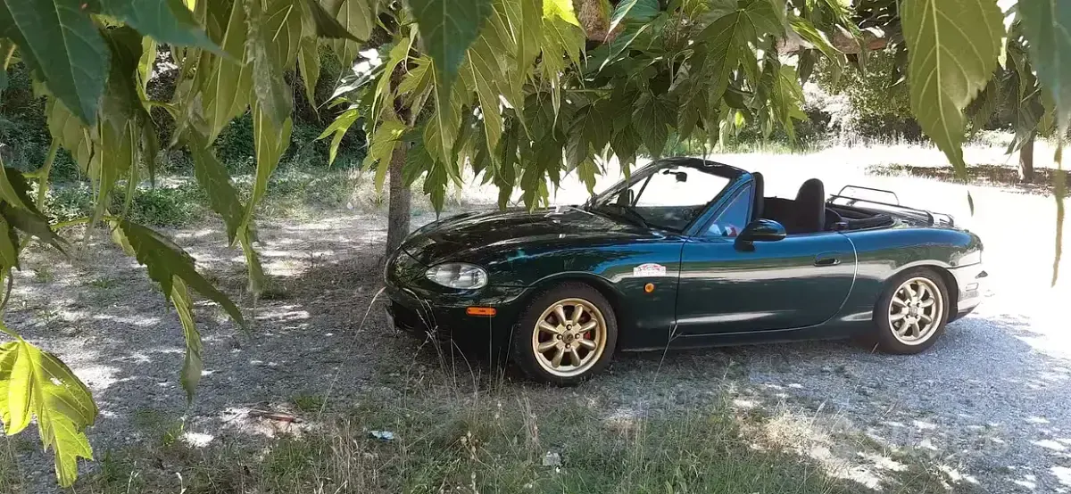 Usata Mazda MX5 110 CV (80 kW) 2001 Verde Cabrio