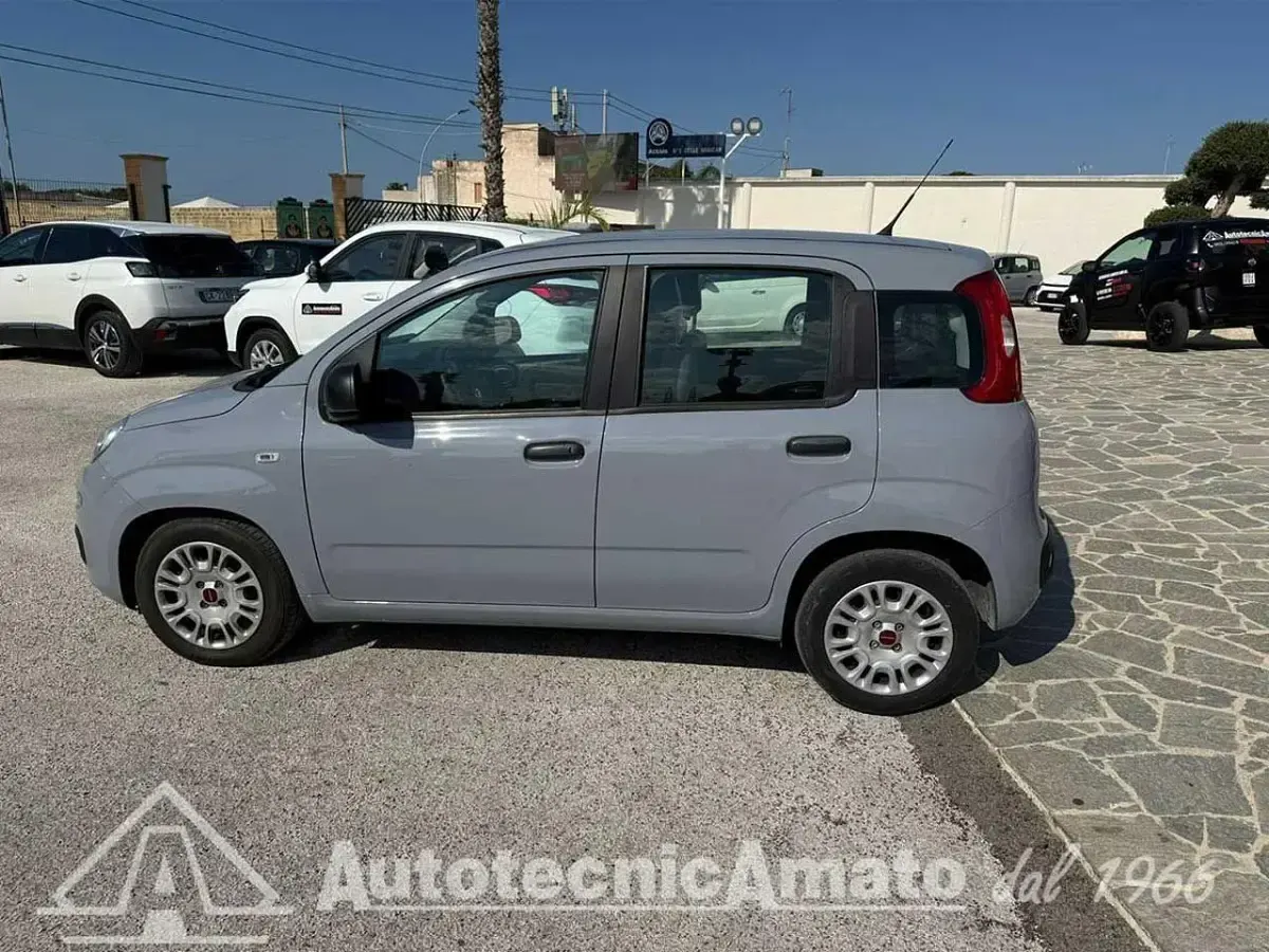 Usata Fiat Panda S 69 CV (50 kW) 2022 Giallo Utilitaria