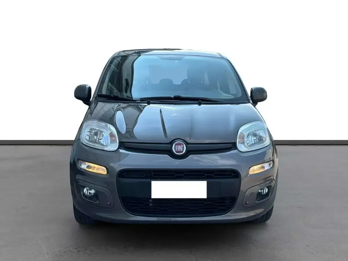 Usata Fiat Panda Easy 69 CV (50 kW) 2021 Grigio Utilitaria