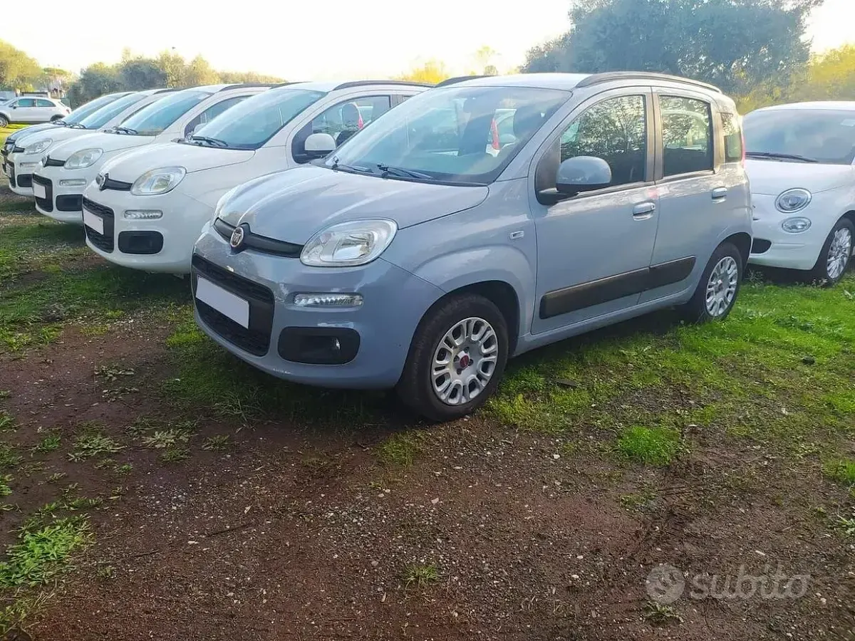 Usata Fiat Panda Lounge 70 CV (51 kW) 2020 Grigio Utilitaria