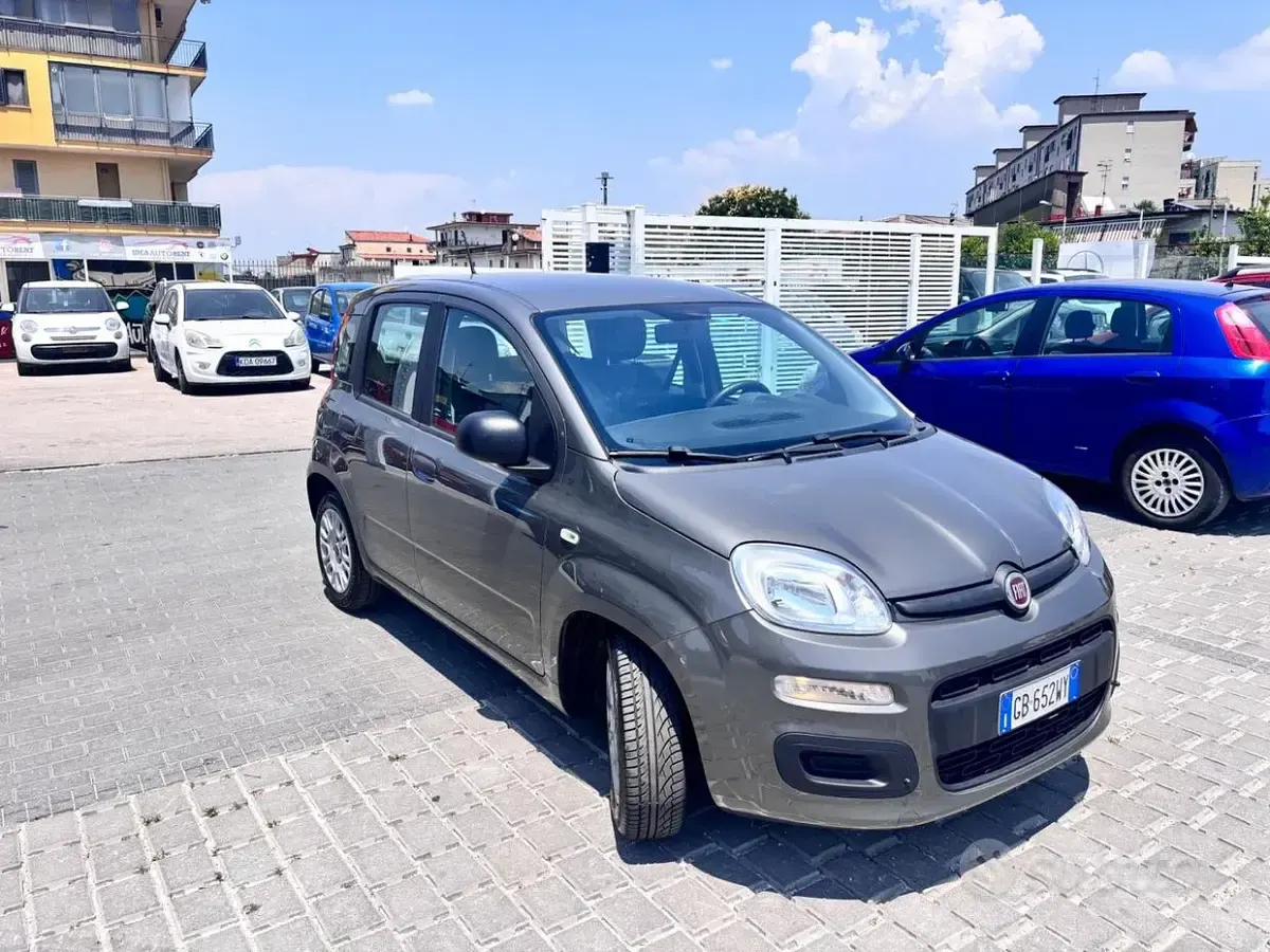 Usata Fiat Panda Easy 69 CV (50 kW) 2020 Grigio Utilitaria