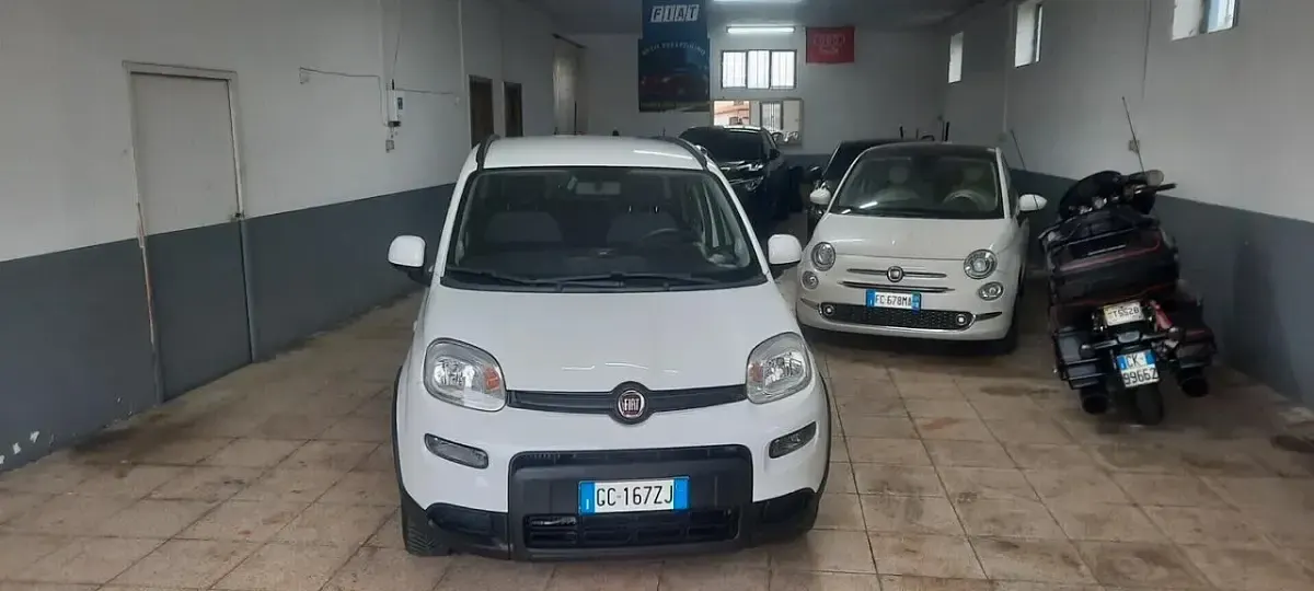 Usata Fiat Panda Cross Cross 70 CV (51 kW) 2021 Bianco Utilitaria