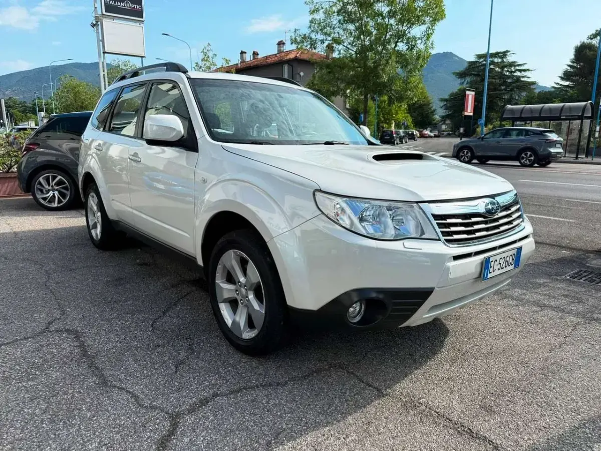Usata Subaru Forester Trend 147 CV (108 kW) 2010 Bianco SUV