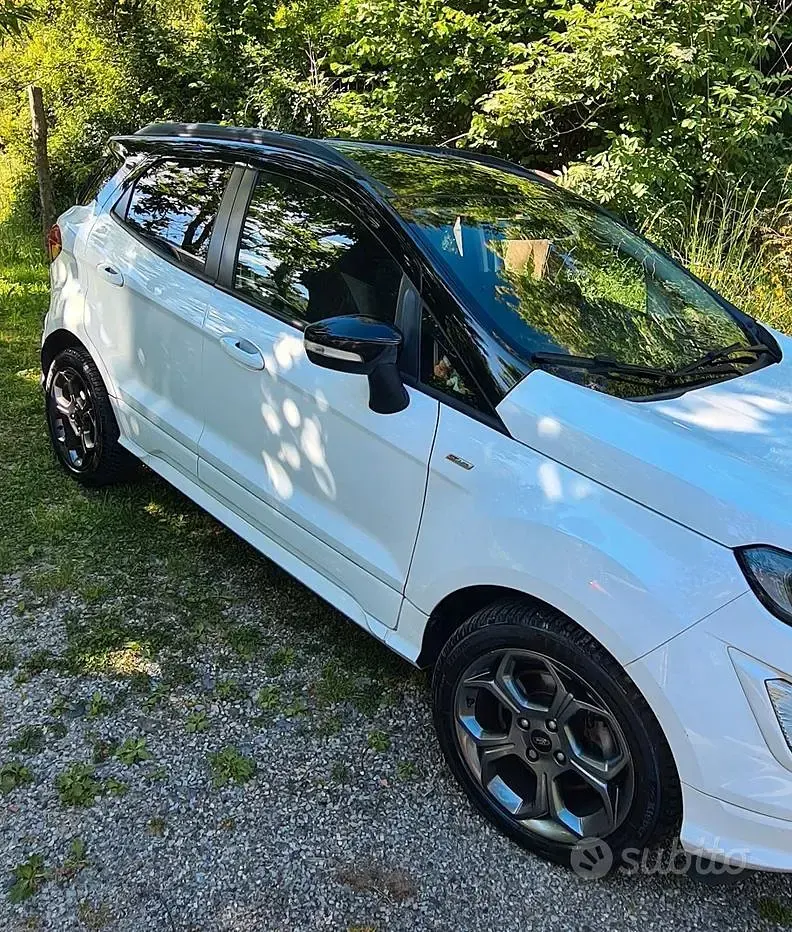 Usata Ford Ecosport ST-Line 99 CV (72 kW) 2018 Bianco SUV