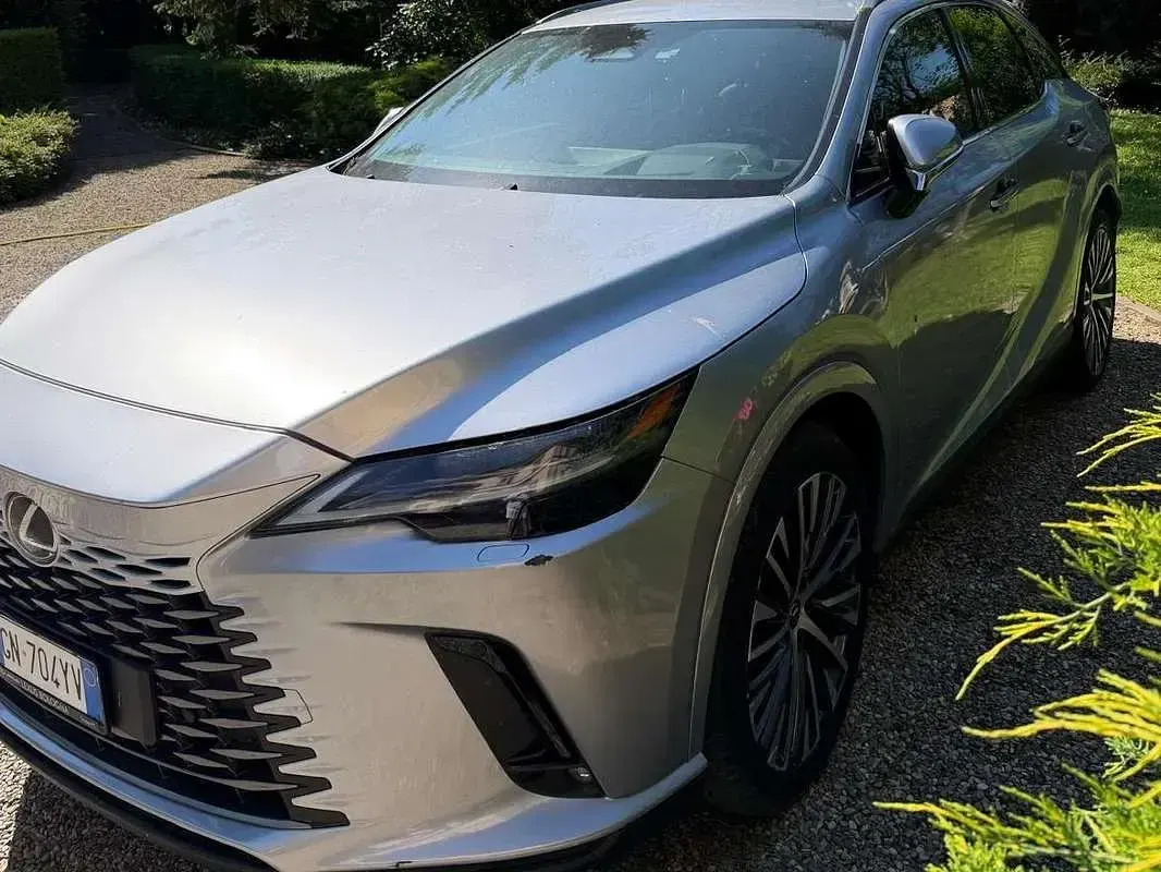 Usata Lexus NX450h+ Executive Line 185 CV (136 kW) 2023 Argento SUV
