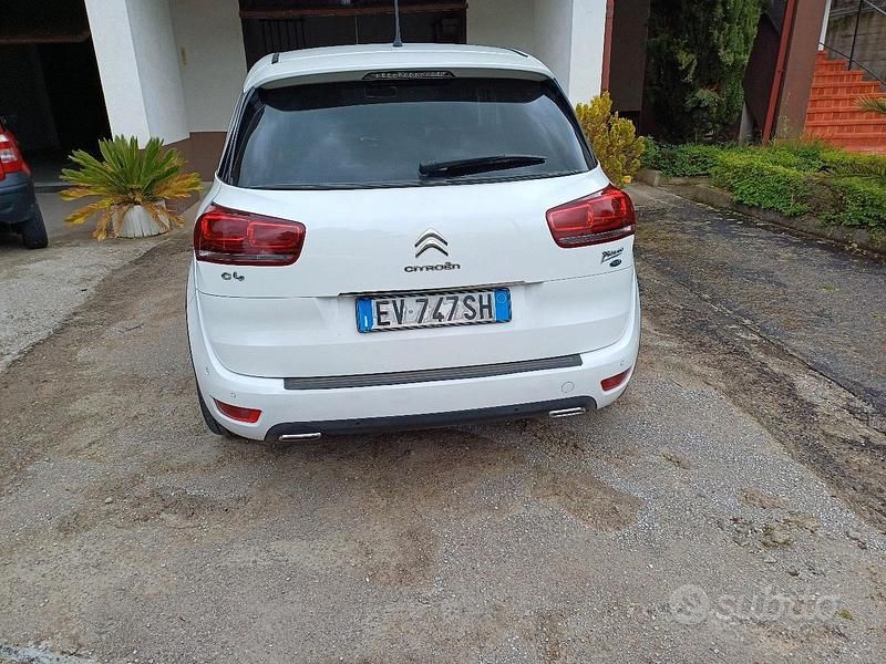 Usata Citroën C4 Picasso 115 CV (84 kW) 2014 Bianco Monovolume