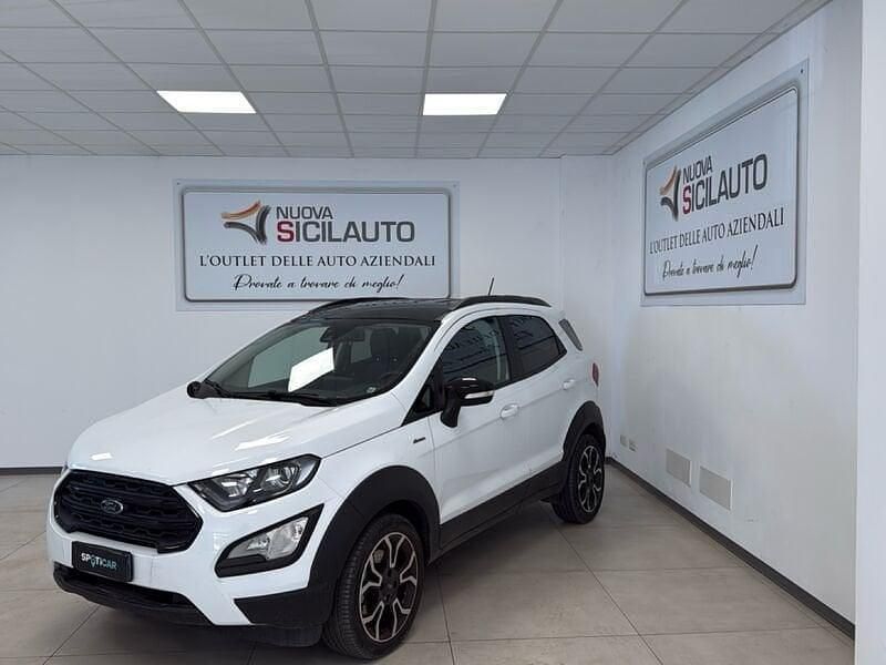 Usata Ford Ecosport Active 125 CV (91 kW) 2022 Bianco SUV