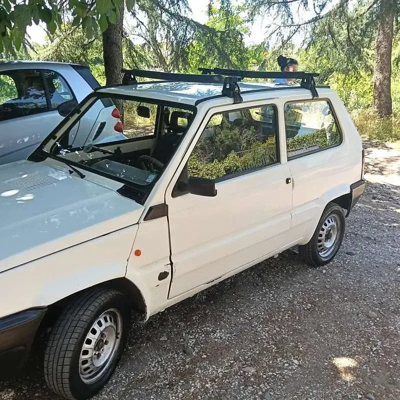 Usata Fiat Panda Young 54 CV (39 kW) 2001 Berlina