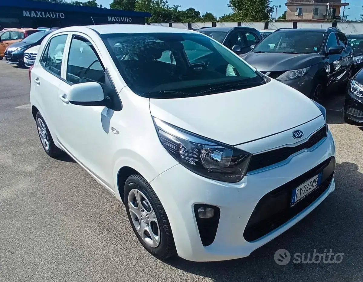 Usata Kia Picanto 67 CV (49 kW) 2020 Bianco Utilitaria