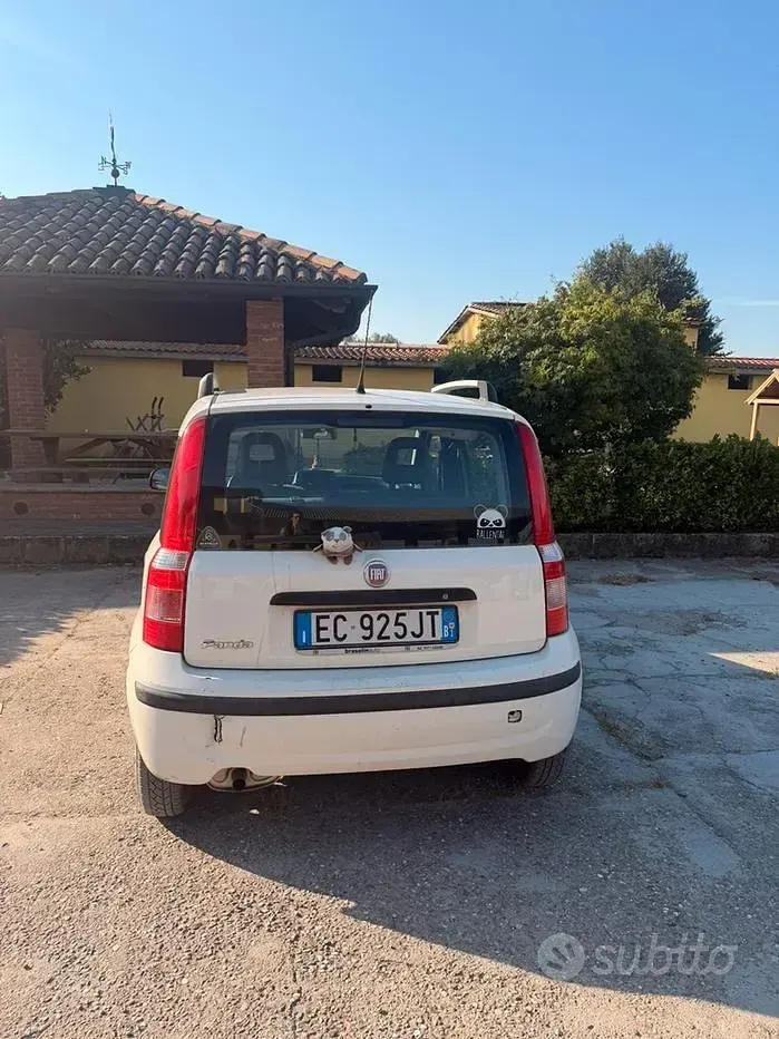 Usata Fiat Panda 60 CV (44 kW) 2010 Giallo Utilitaria