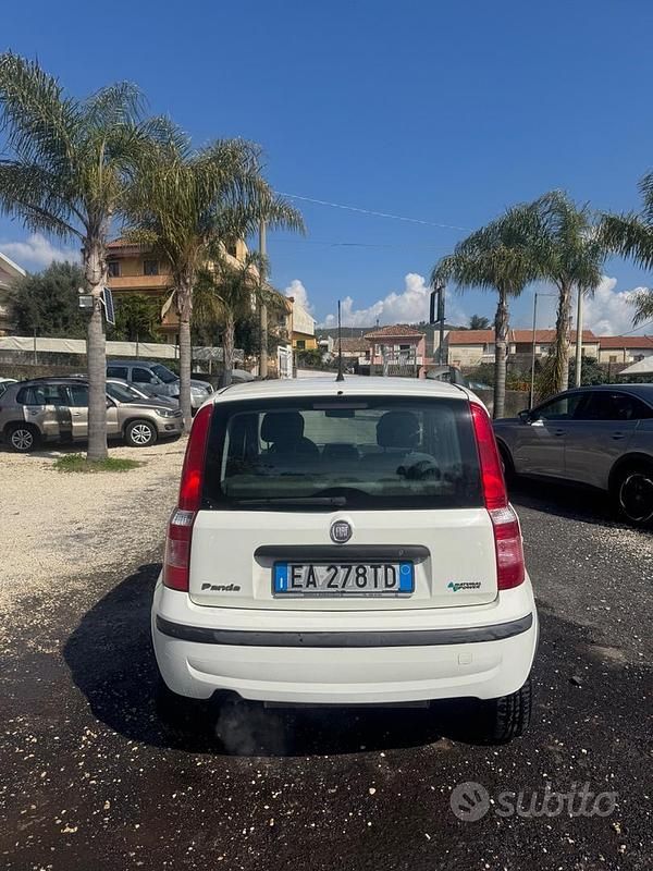 Usata Fiat Panda Dynamic 60 CV (44 kW) 2010 Bianco Utilitaria