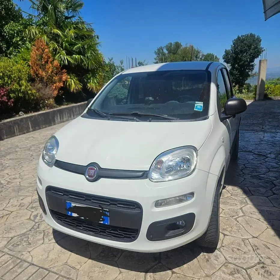 Usata Fiat Panda 4x4 85 CV (62 kW) 2019 Bianco Utilitaria