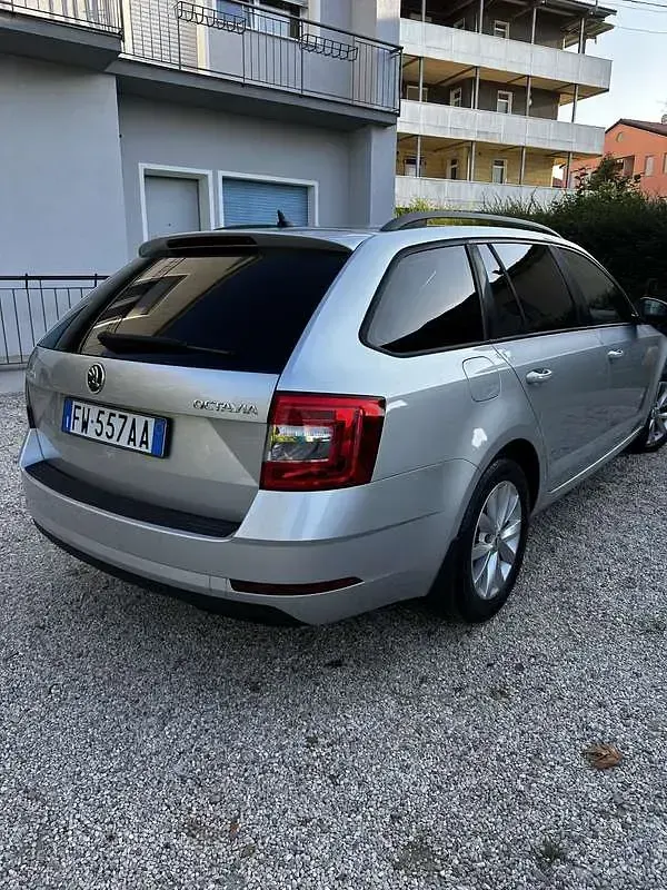 Usata Skoda Octavia Executive 150 CV (110 kW) 2019 Argento Station wagon