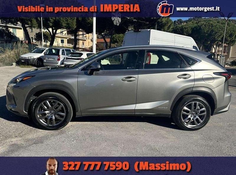 Usata Lexus NX300h Business Edition 155 CV (114 kW) 2020 Grigio SUV