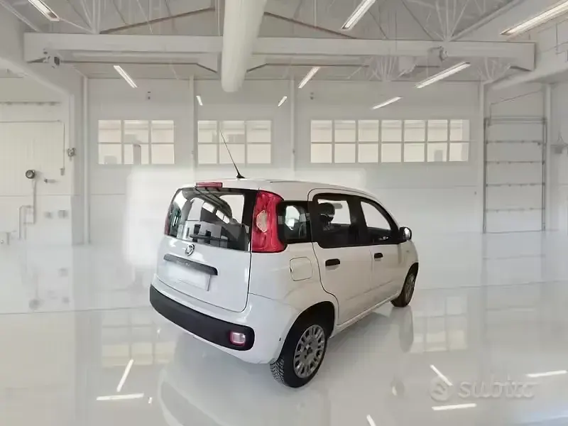 Usado Fiat Panda Easy 69 CV (50 kW) 2020 Blanco Utilitario