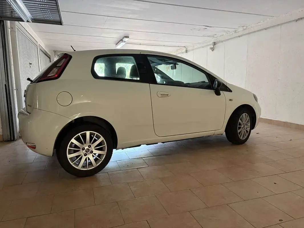 Usata Fiat Punto 84 CV (61 kW) 2014 Utilitaria