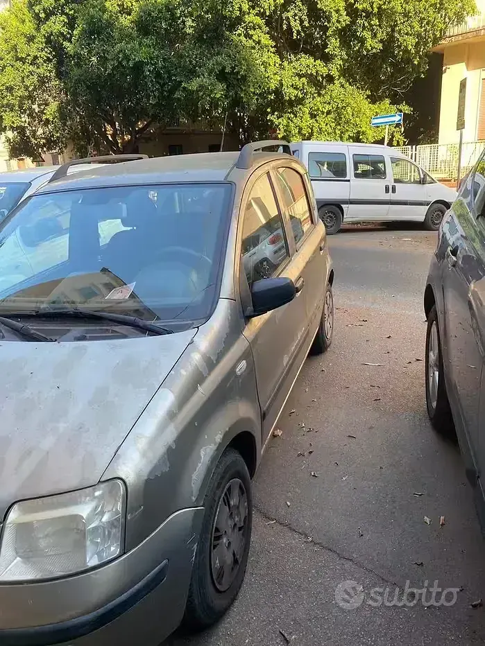 Usata Fiat Panda 60 CV (44 kW) 2009 Giallo Utilitaria