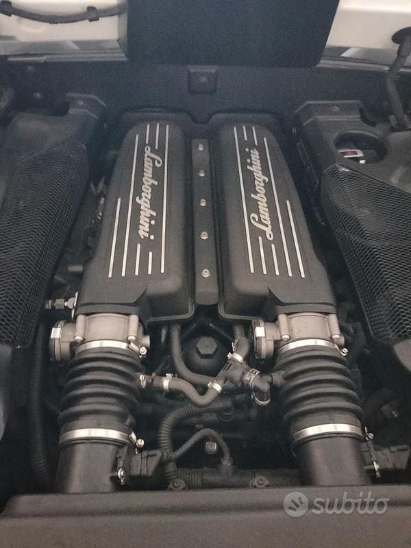 Usata Lamborghini Gallardo 2009 Coupé