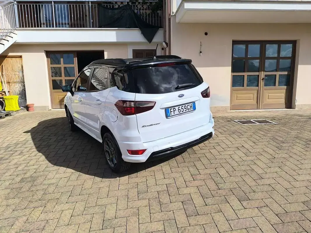 Usata Ford Ecosport ST-Line 99 CV (72 kW) 2018 Bianco SUV