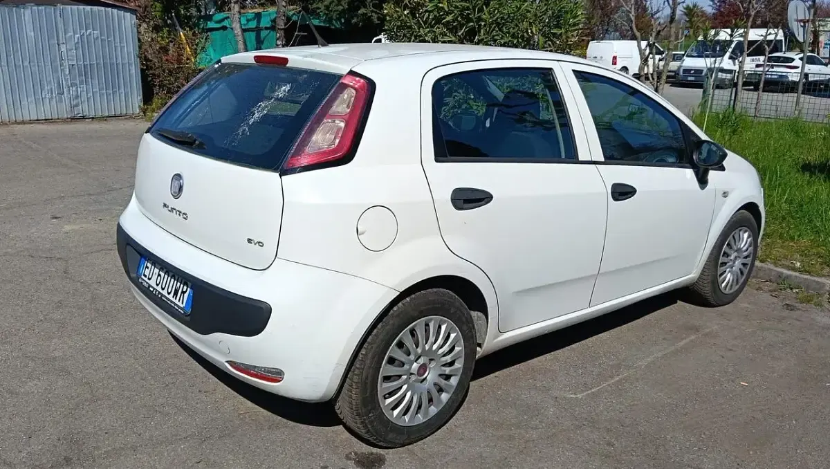 Usata Fiat Punto Evo Active 75 CV (55 kW) 2010 Bianco Utilitaria