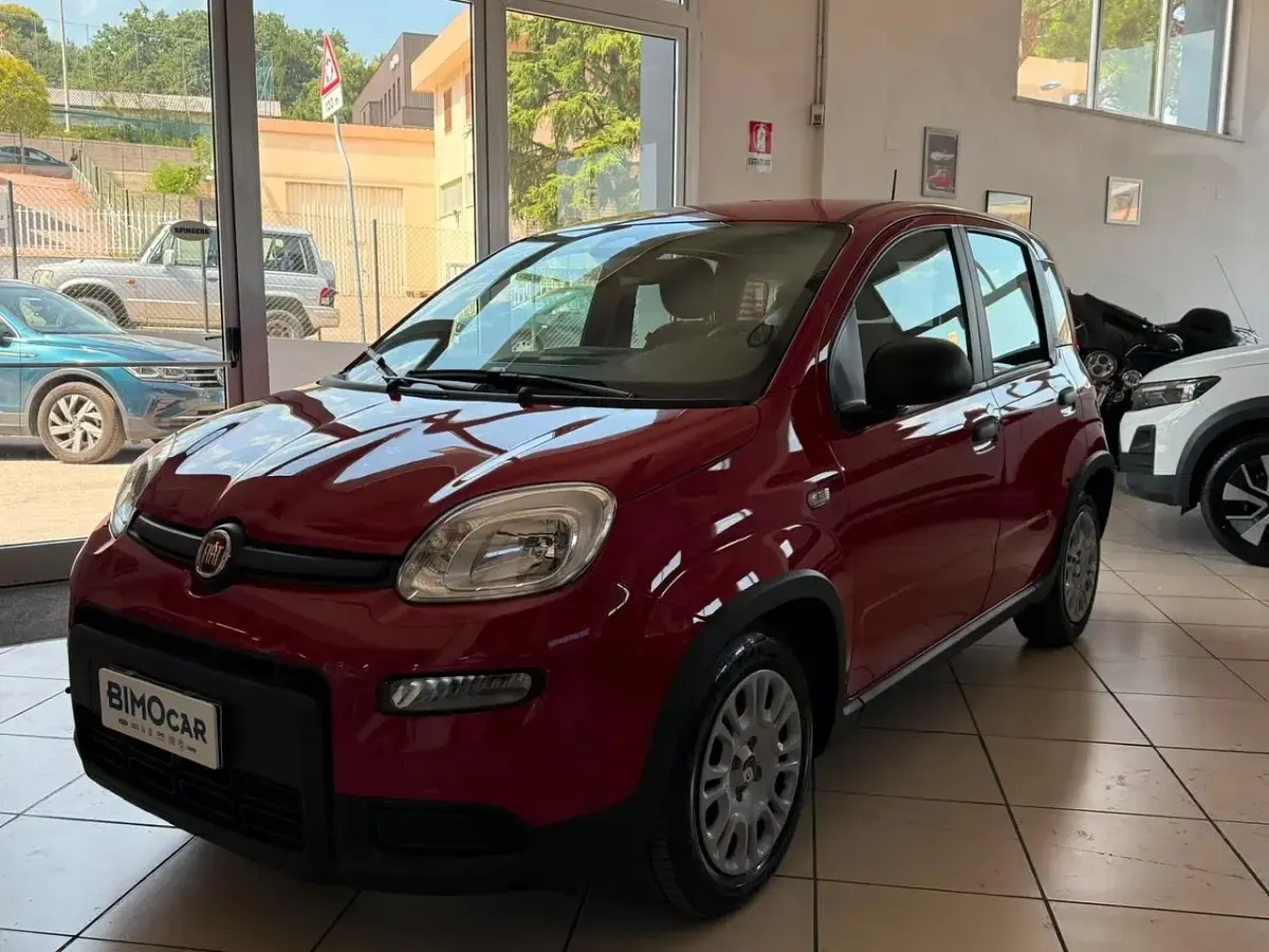 Usata Fiat Panda Icon 69 CV (50 kW) 2024 Rosso Utilitaria