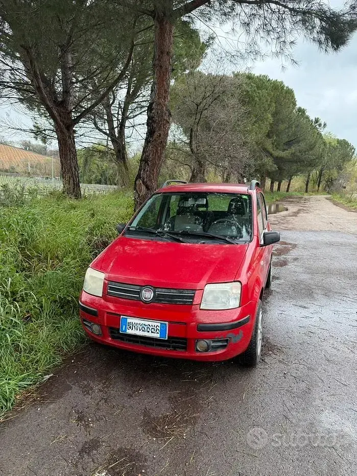 Usata Fiat Panda 69 CV (50 kW) 2008 Utilitaria