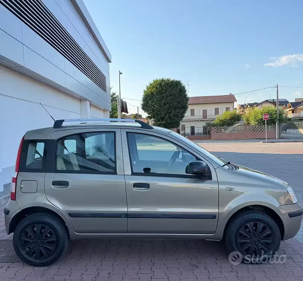 Usata Fiat Panda Dynamic 60 CV (44 kW) 2010 Verde Utilitaria