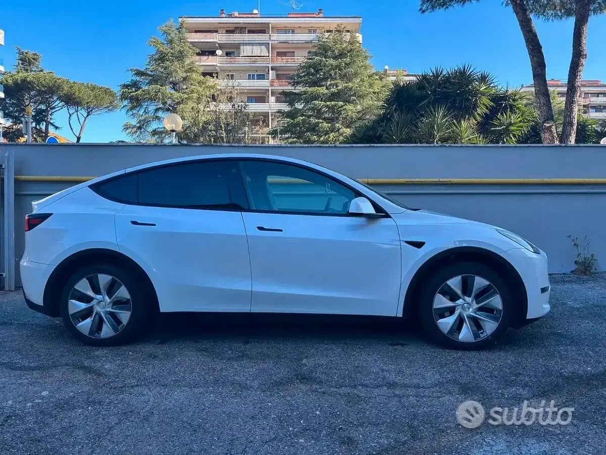 Usata Tesla Model Y 189 kW (258 CV) 2023 Bianco SUV