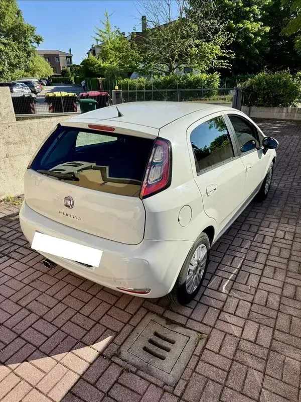 Usata Fiat Punto Lounge 69 CV (50 kW) 2014 Utilitaria