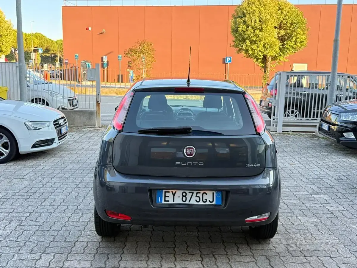 Usata Fiat Punto Evo Lounge 70 CV (51 kW) 2015 Grigio Utilitaria